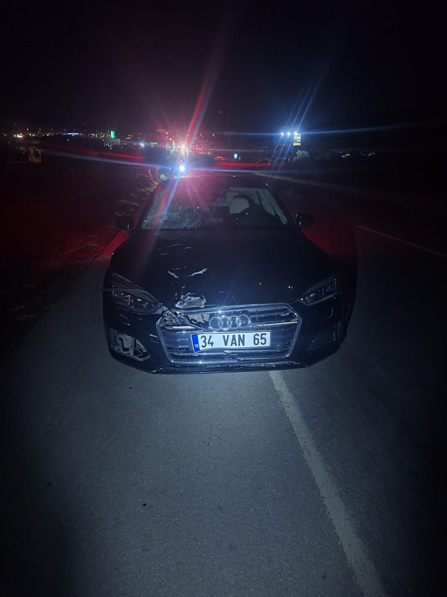 Muğla'nın Milas ilçesinde, otomobilin çarptığı yaya yaşamını yitirdi.