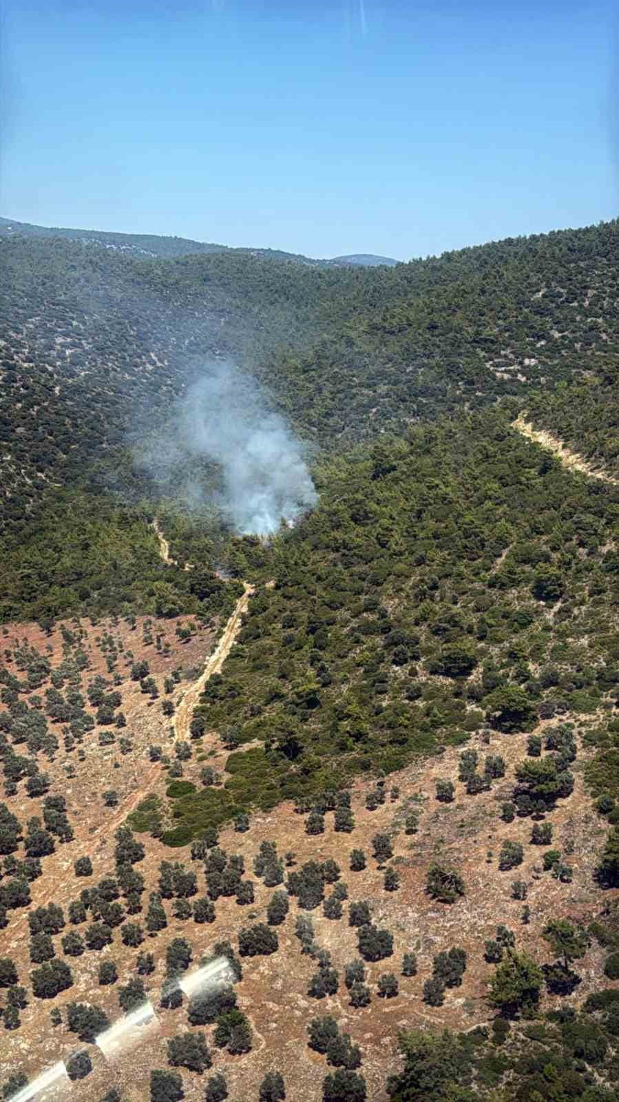 MUĞLA'NIN MİLAS İLÇESİNE BAĞLI KAZIKLI MAHALLESİ KAZIKLI KOYU'NDA MAKİLİK ALANDA YANGIN ÇIKTI....