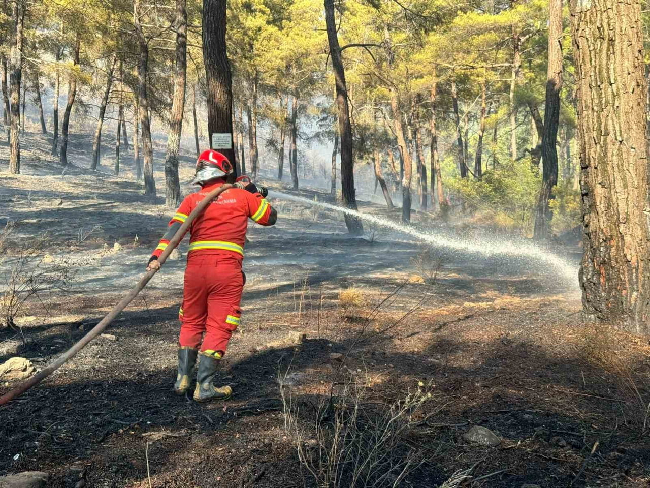 MUĞLA'NIN ORTACA İLÇESİNDE ORMANLIK ALANDA ÇIKAN YANGINA EKİPLERİN HAVADAN VE KARADAN MÜDAHALESİ...