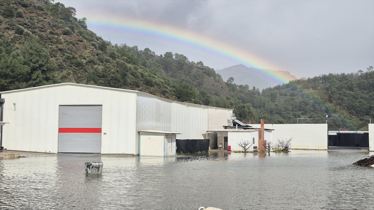 Muğla'nın Ortaca ilçesine yağışların ardından yaşanan su baskınları hayatı olumsuz etkiliyor....