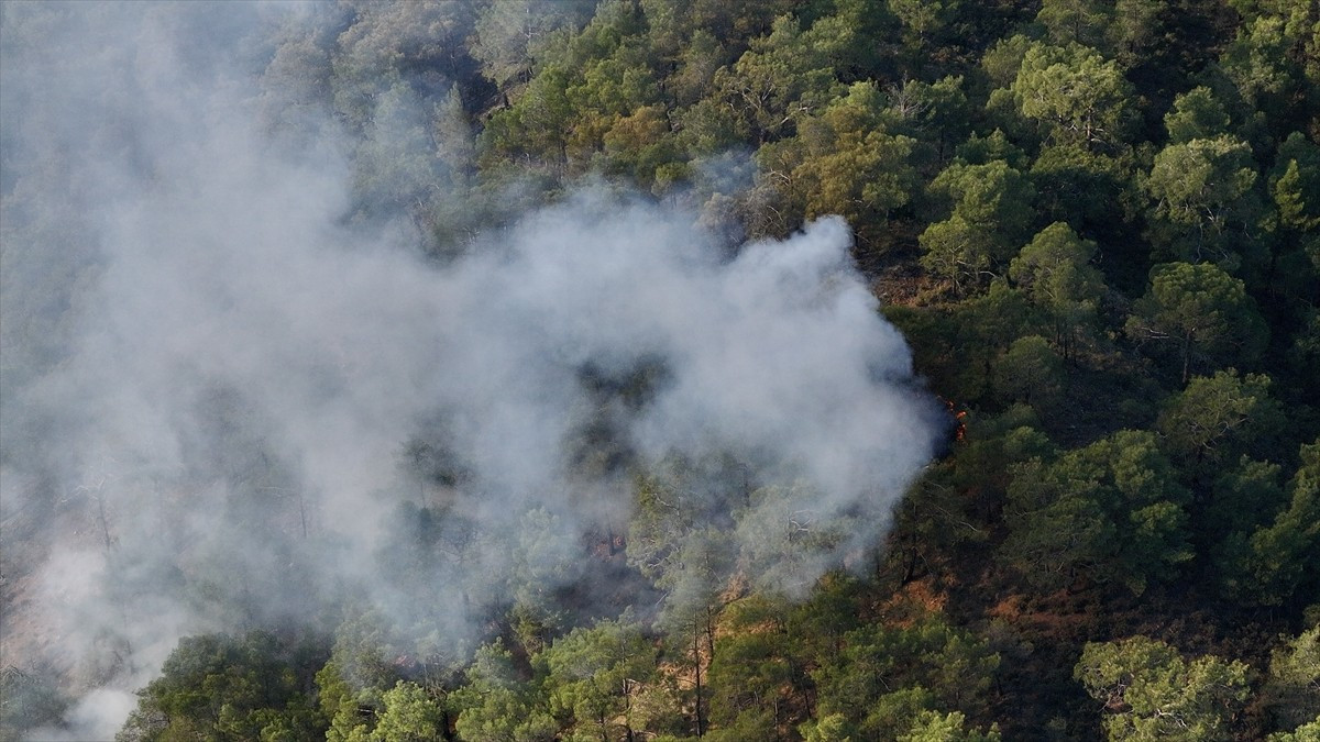 Muğla'nın Seydikemer ilçesinde çıkan orman yangını söndürüldü.