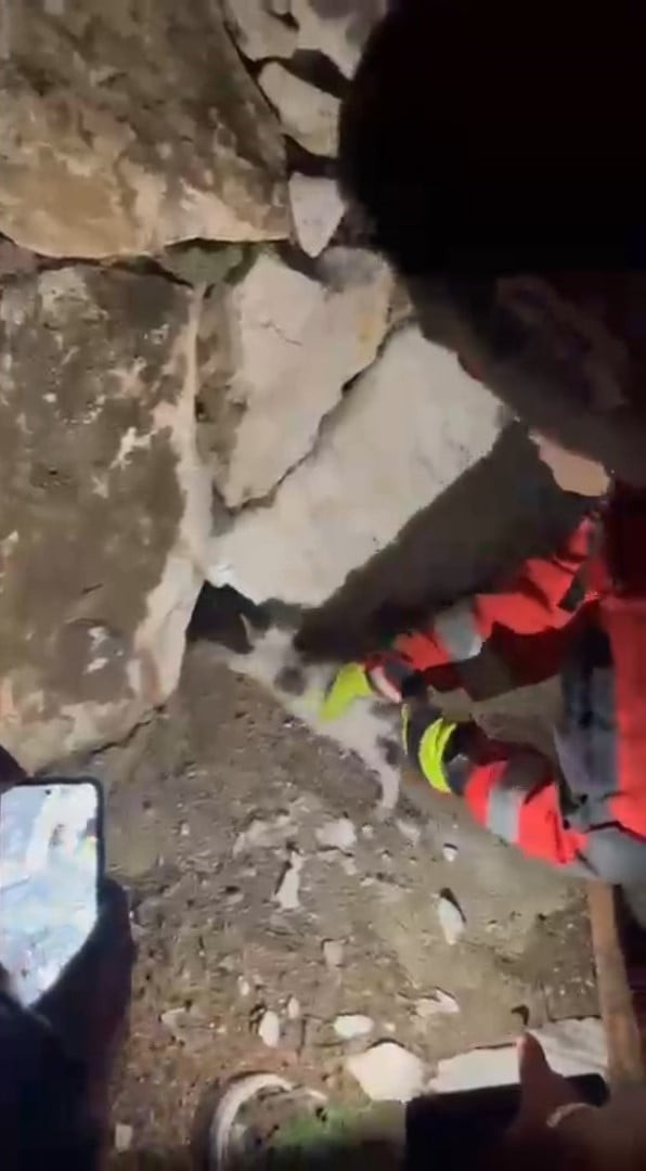 MUĞLA'NIN YATAĞAN İLÇESİNDE TAŞ DUVAR ARASINA SIKIŞAN KEDİ, İTFAİYE EKİPLERİNİN ÇALIŞMASIYLA...