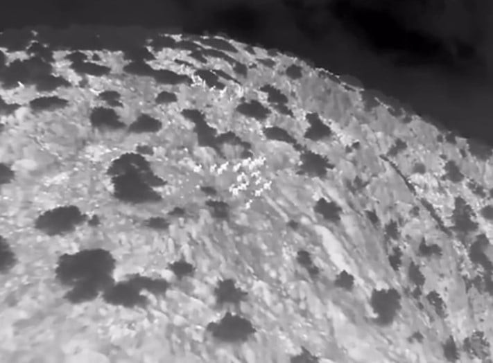 MUĞLA’DA YABAN KEÇİLERİ TERMAL KAMERALI DRONE İLE GÖRÜNTÜLENDİ