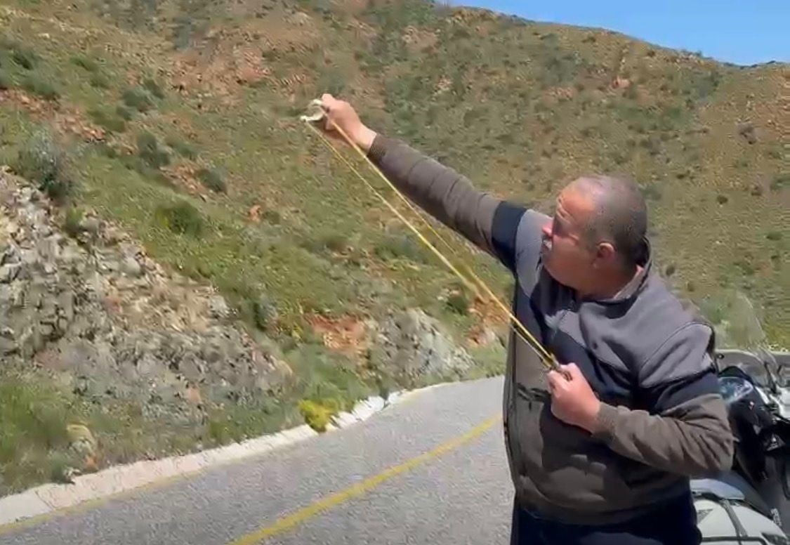 MUĞLA’NIN MARMARİS İLÇESİNDE BÜYÜK ORMAN YANGINLARININ ARDINDAN DOĞAYI YENİDEN CANLANDIRMAK İÇİN...