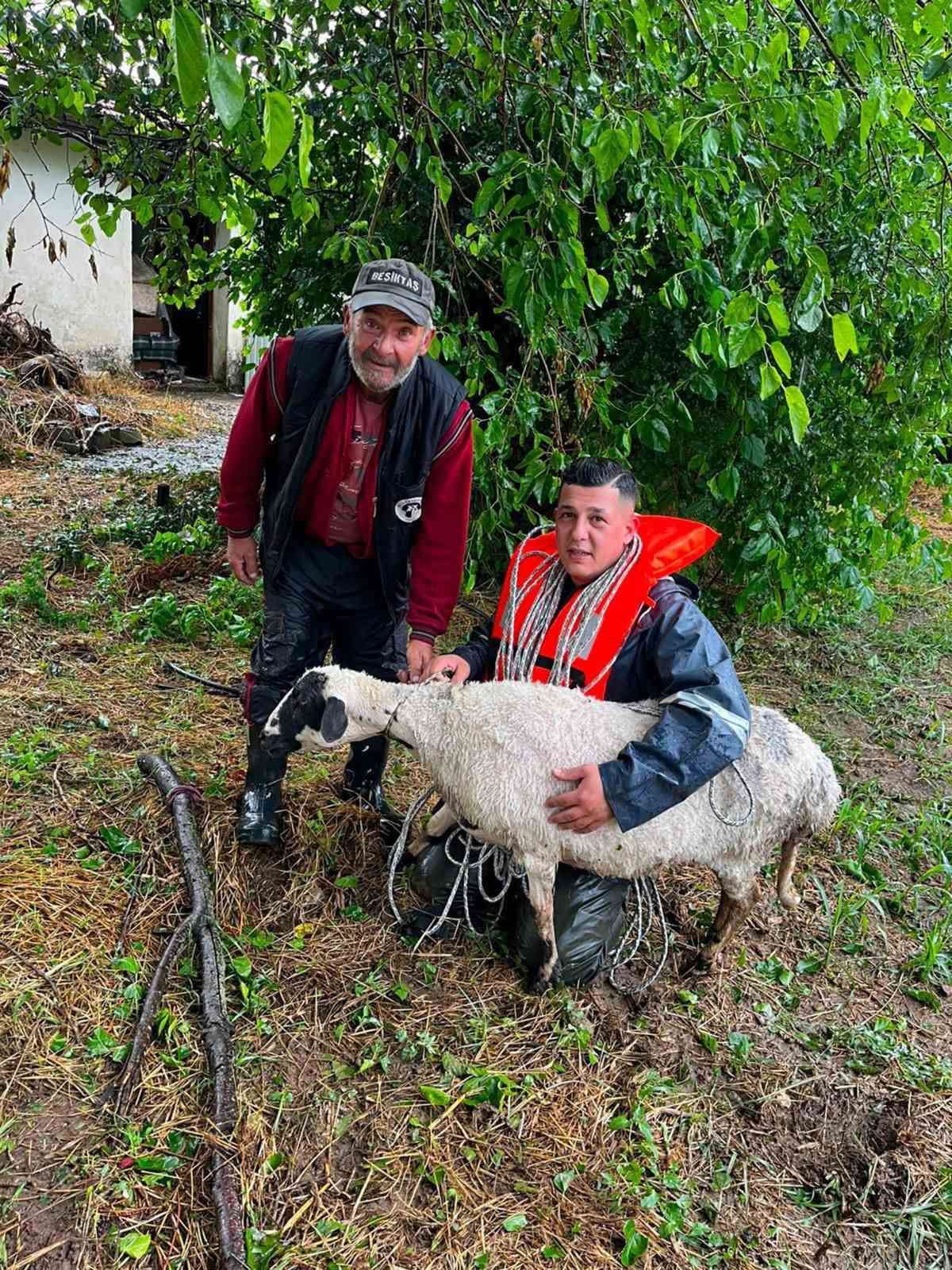 MUĞLA’NIN MENTEŞE İLÇESİNDE AKŞAM SAATLERİNDE BAŞLAYAN SAĞANAK YAĞMUR SONRASI KARABAĞLAR...