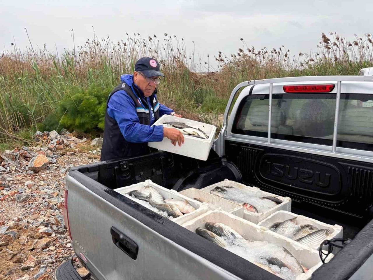 MUĞLA’NIN MİLAS İLÇESİNDE BULUNAN GÜLLÜK LAGÜNÜ’NDE MUĞLA TARIM VE ORMAN İL MÜDÜRLÜĞÜ EKİPLERİ...