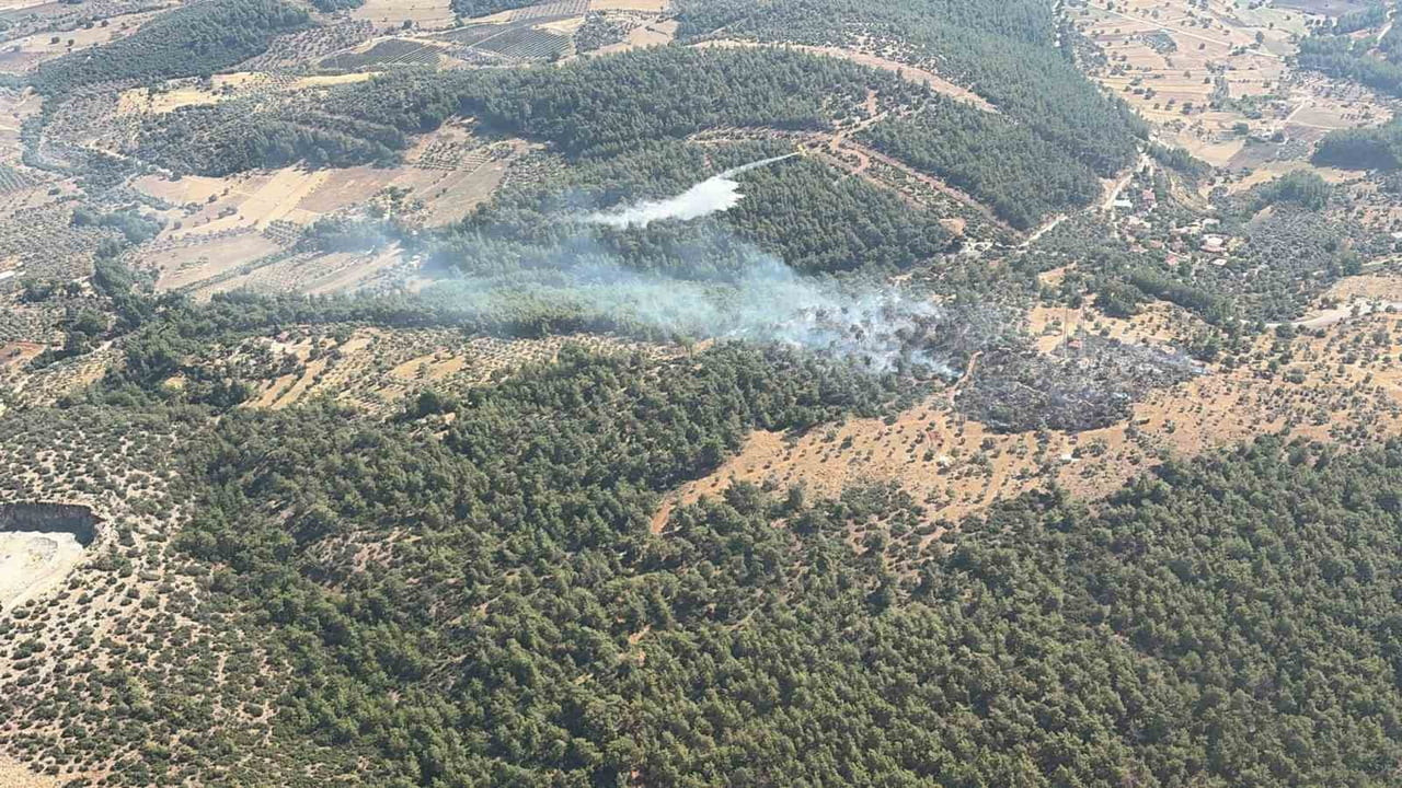 MUĞLA’NIN MİLAS İLÇESİNDE ÇIKAN ZİRAİ YANGIN KISA SÜREDE KONTROL ALTINA ALINDI