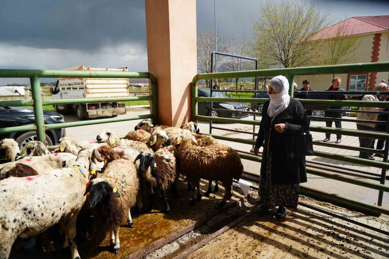 MUŞ VALİLİĞİ İLE İL ÖZEL İDARESİNİN KATKILARIYLA TARIM VE ORMAN İL MÜDÜRLÜĞÜ TARAFINDAN HAYATA...