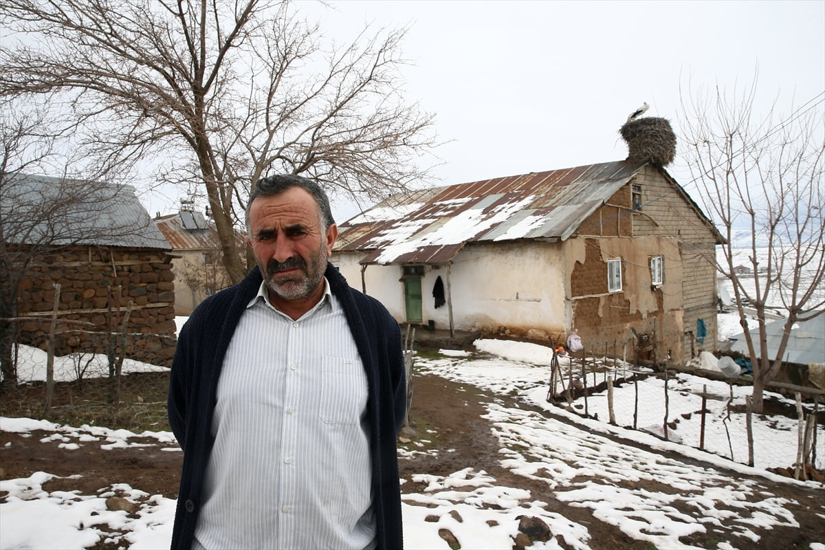 Muş'ta bir köydeki evin çatısına yuva yapan leylekler, 44 yıldır her baharda aynı yuvaya gelip...