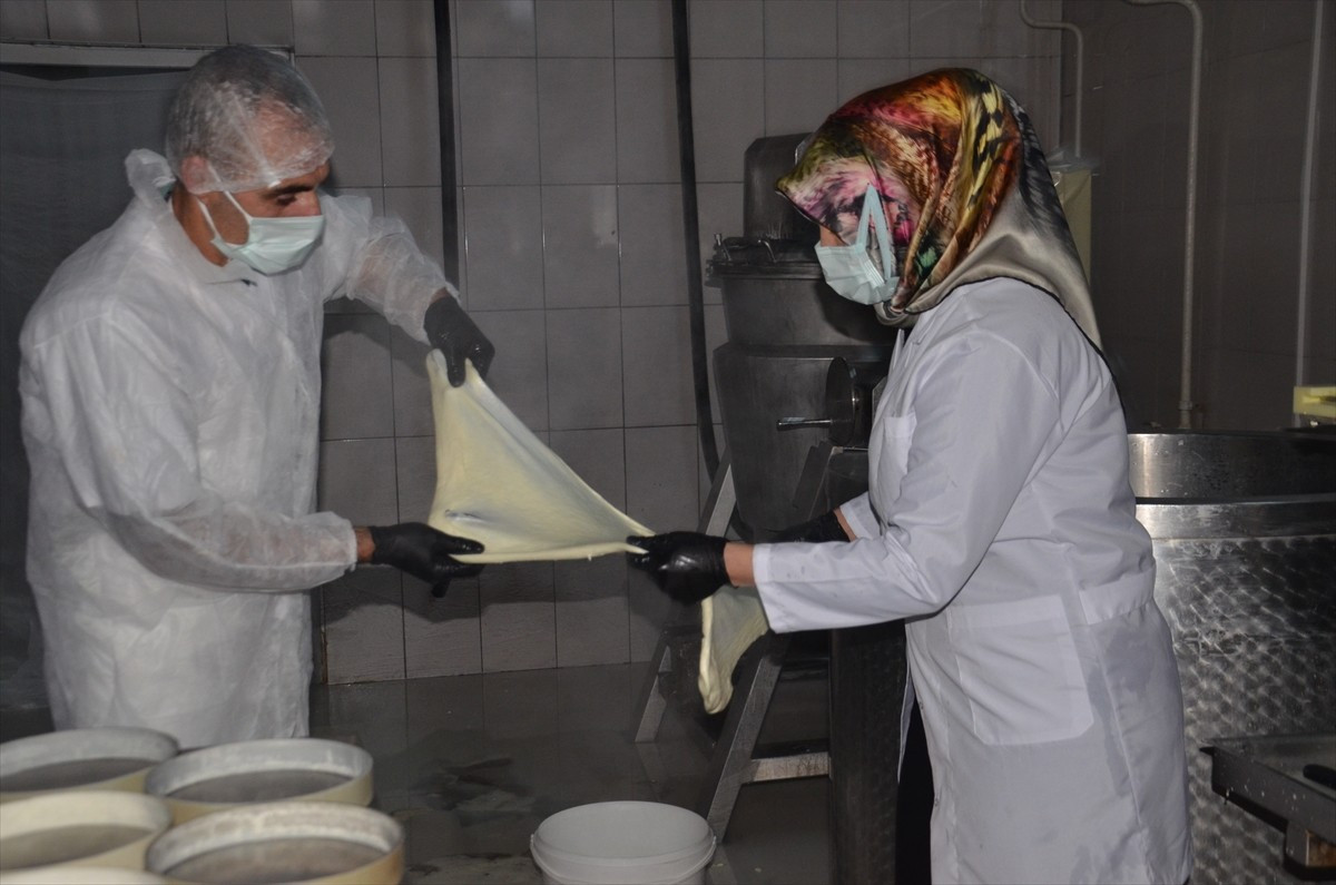 Muş'ta devlet desteğiyle süt işleme tesisi kuran kadın girişimci, günlük 10 ton süt işleyerek...