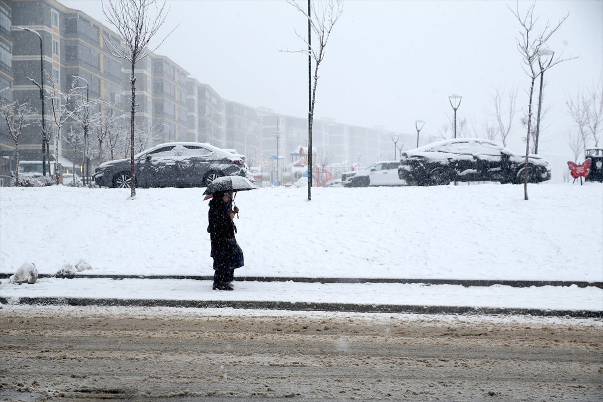 Muş'ta etkili olan kar yağışı nedeniyle yüksek kesimler ve kent merkezi beyaza büründü.