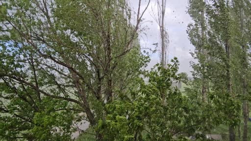 Muş'ta şiddetli dolu yağışı kazaya neden oldu: Minibüs yan yattı