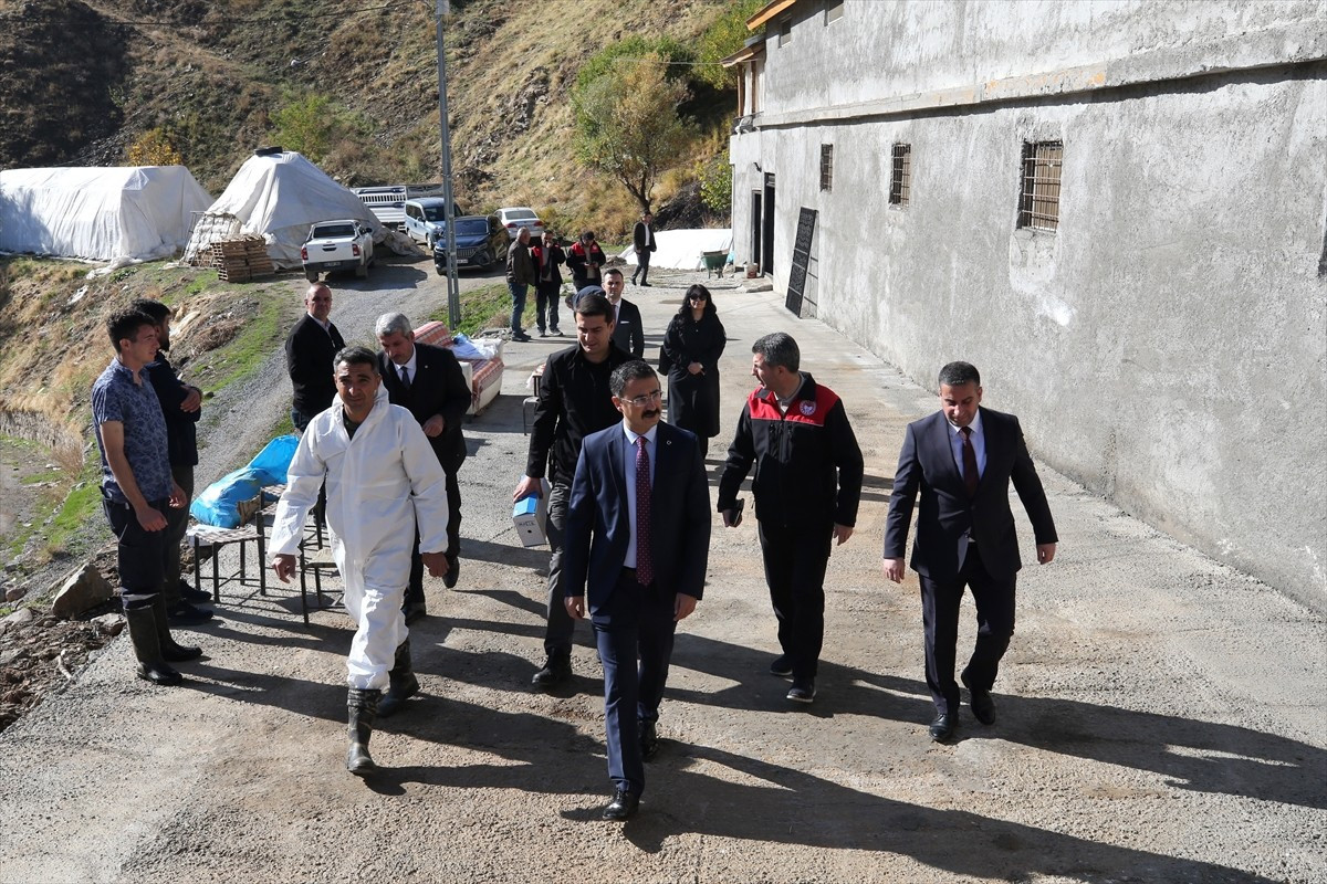 Muş'ta yaşayan eski hükümlü 35 yaşındaki Rıdvan Aktaş, devlet desteğiyle kurduğu besi çiftliğinde...