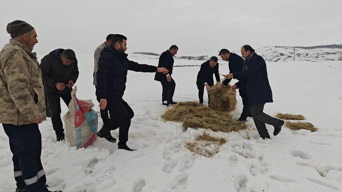 Muş'un Korkut ilçesinde, yoğun kar nedeniyle yiyecek bulmakta zorlanan yaban hayvanları için...