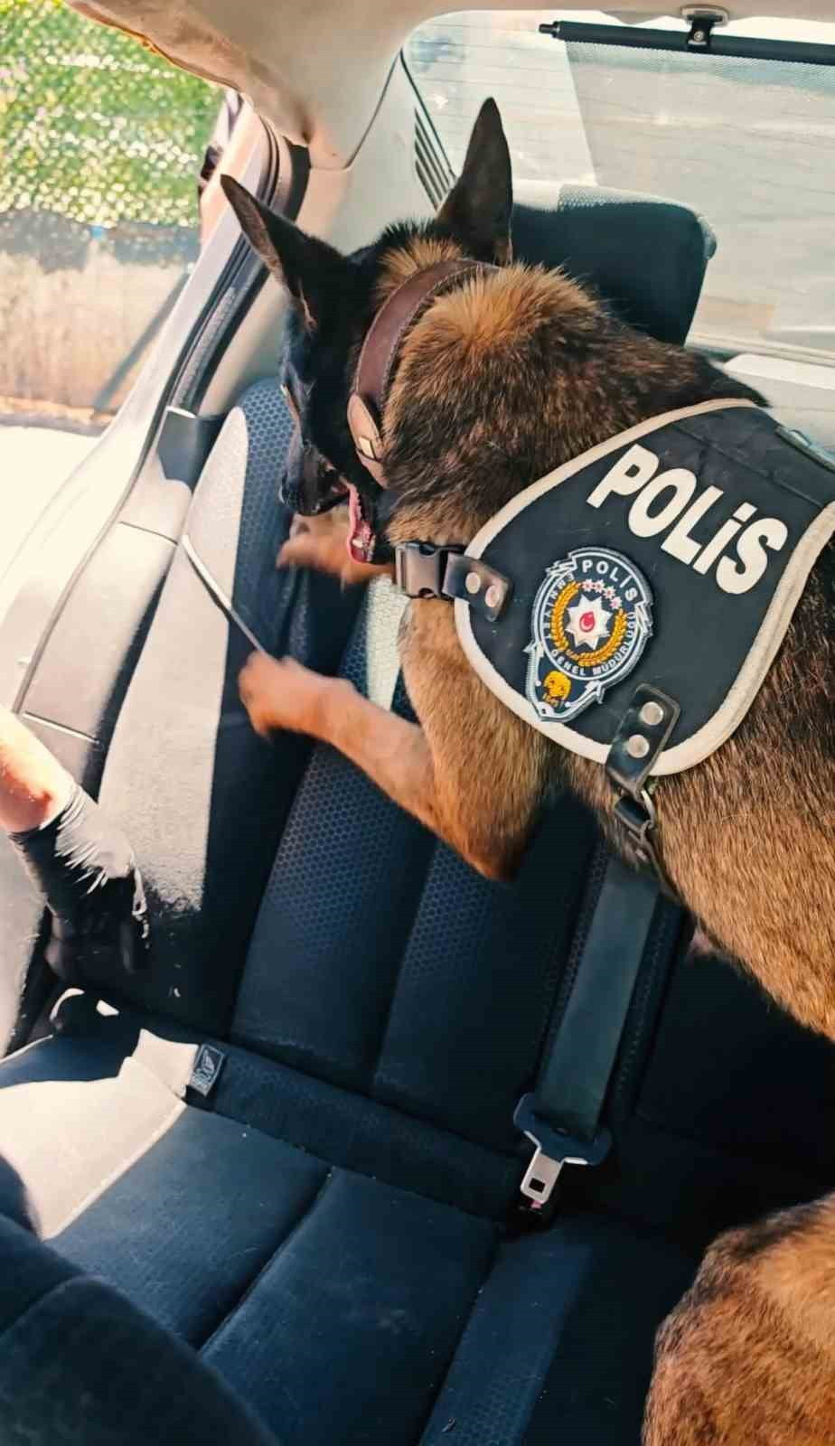 MUŞ’TA POLİS EKİPLERİNCE UYUŞTURUCU MADDE TİCARETİ VE KULLANIMININ ÖNLENMESİNE YÖNELİK YÜRÜTÜLEN...