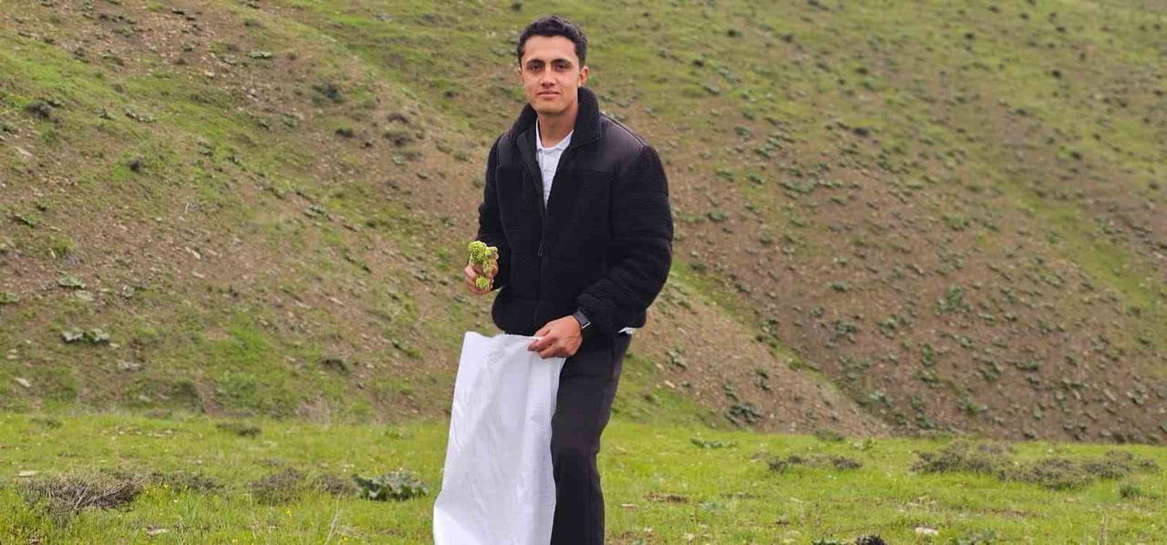 MUŞ’TA "YAYLA MUZU" MESAİSİ BAŞLADI