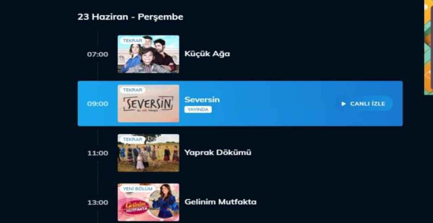 Neler Oluyor Hayatta programı neden yok?