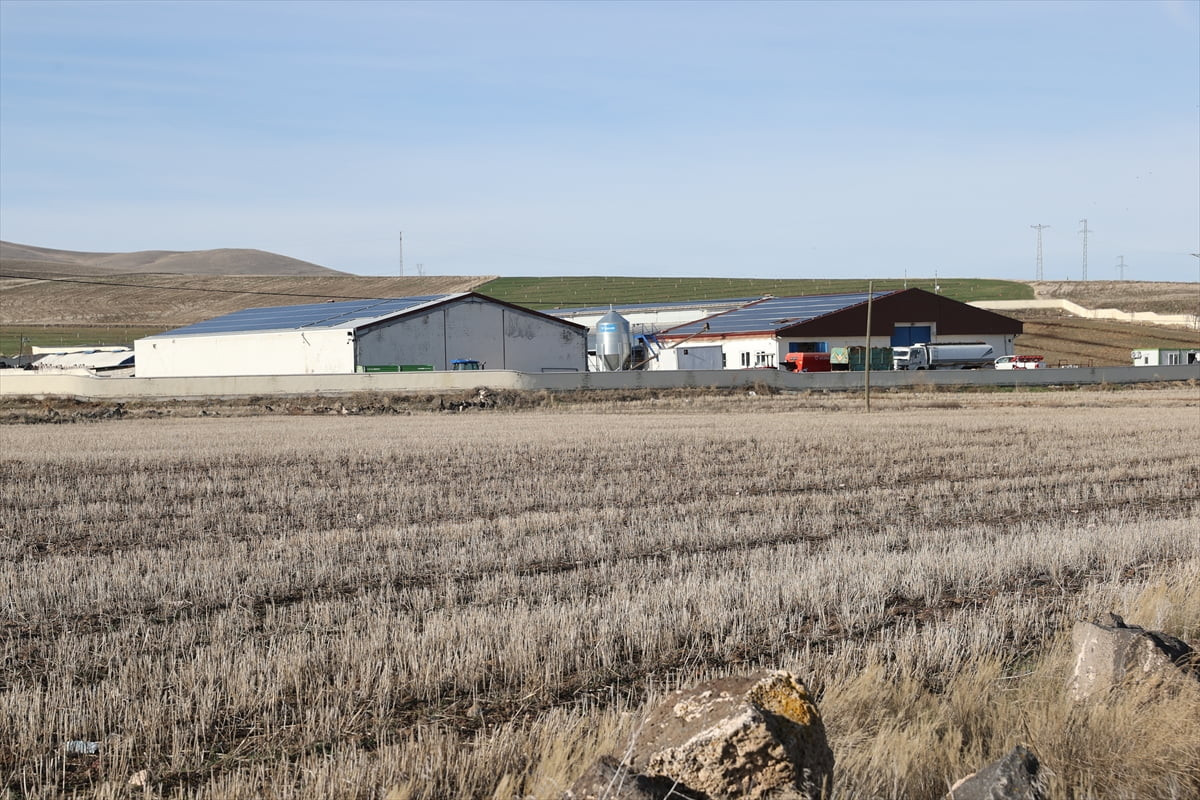 Nevşehir'in Acıgöl ilçesinde, Tarım ve Kırsal Kalkınmayı Destekleme Kurumundan (TKDK) aldığı...
