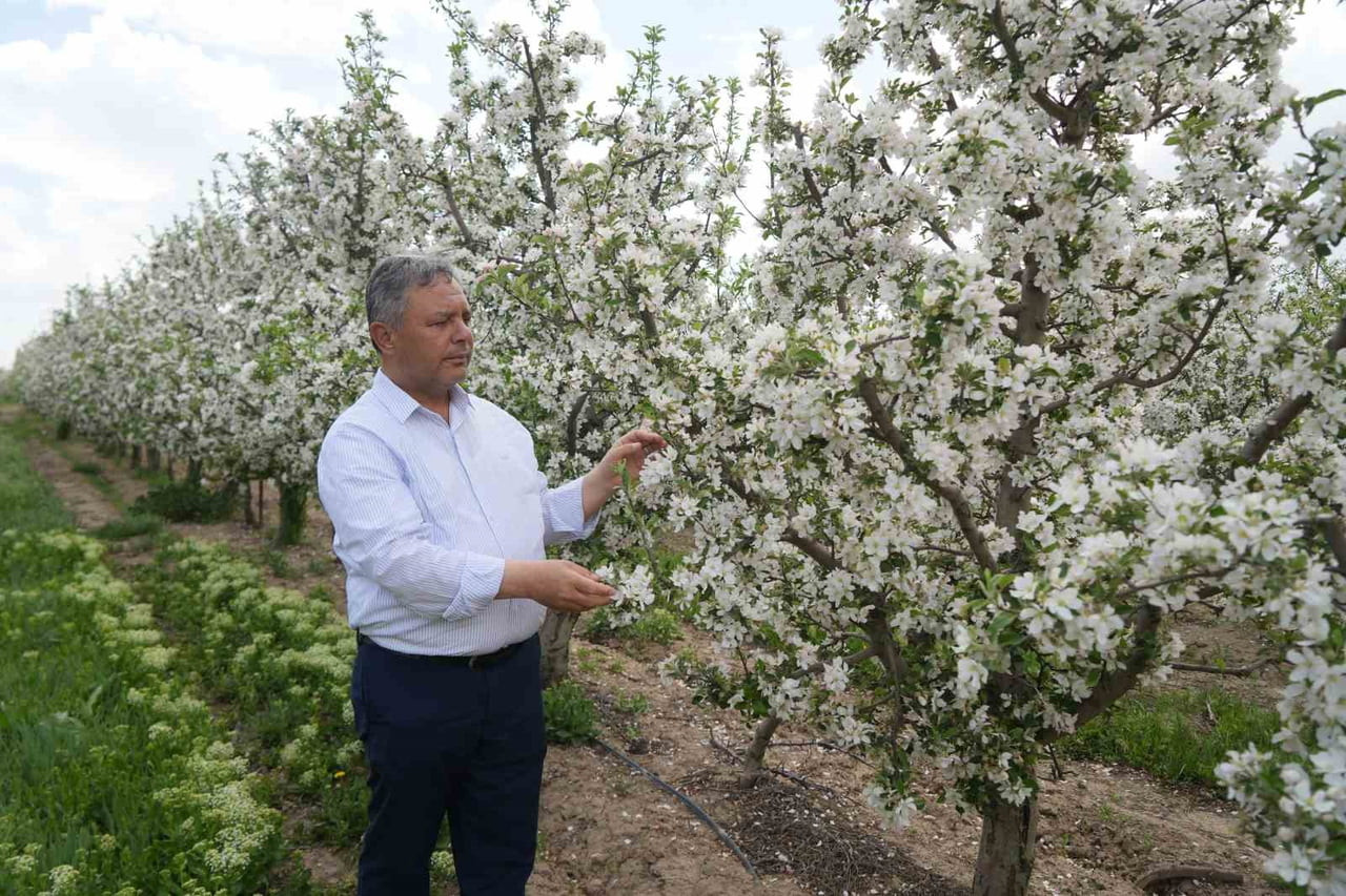 NİĞDE ELMA ÜRETİCİLER BİRLİK BAŞKANI ATİLLA KAPLAN ELMADA ÜRETİCİ İLE MARKET ARASINDAKİ FİYAT...