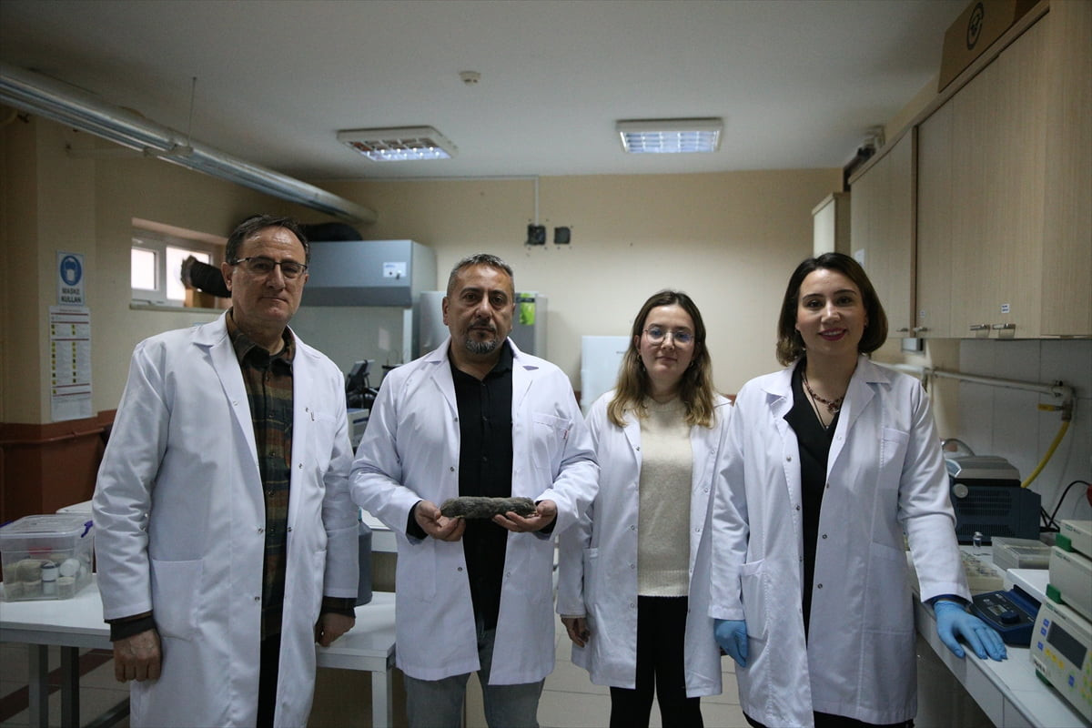 Niğde Ömer Halisdemir Üniversitesi Fen Fakültesi Biyoteknoloji Bölümü Öğretim Üyesi Prof. Dr....