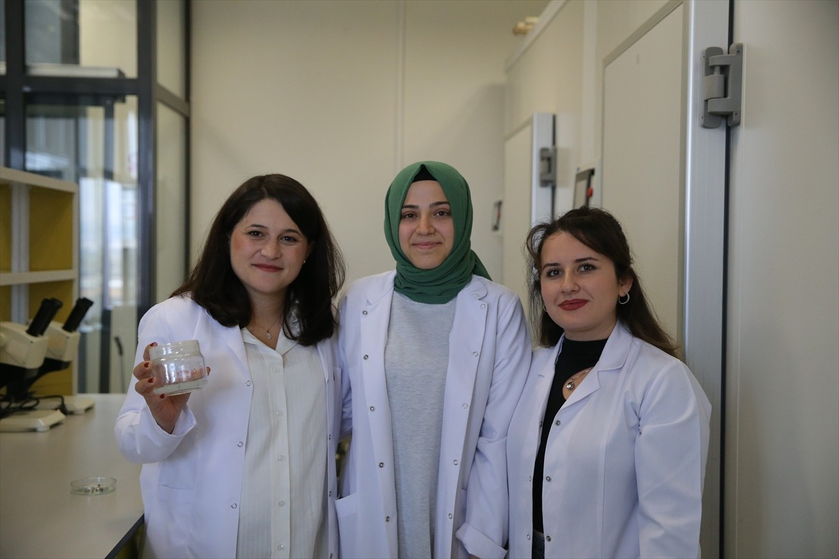 Niğde Ömer Halisdemir Üniversitesi Tarım Bilimleri ve Teknolojileri Fakültesi Tarımsal Genetik...