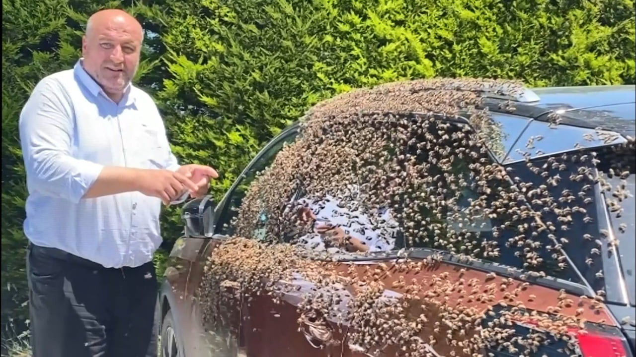 OĞUL ATAN ARILARIN İLK ÖNCE AĞACA KONDUĞUNU, SONRASINDA İSE AĞACI SİLKELEYİNCE OTOPARKTA BULUNAN...