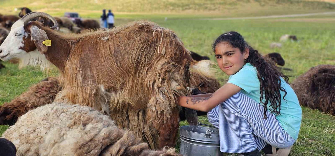 OKULLARIN KAPANMASININ ARDINDAN AİLESİYLE BİRLİKTE YAYLAYA GELEN 5'İNCİ SINIF ÖĞRENCİSİ NAZAR...