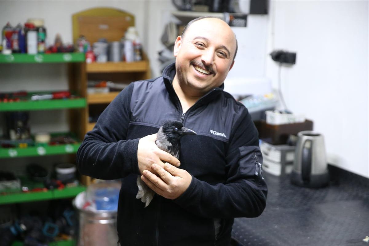 Ordu'nun Altınordu ilçesinde esnaflık yapan Serdar Hekim'in, yaklaşık beş ay önce yaralı halde...