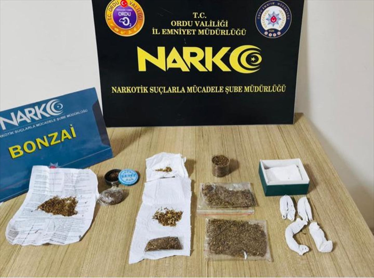 Ordu'nun Fatsa ilçesinde uyuşturucu operasyonunda gözaltına alınan 24 şüpheliden 19'u tutuklandı....