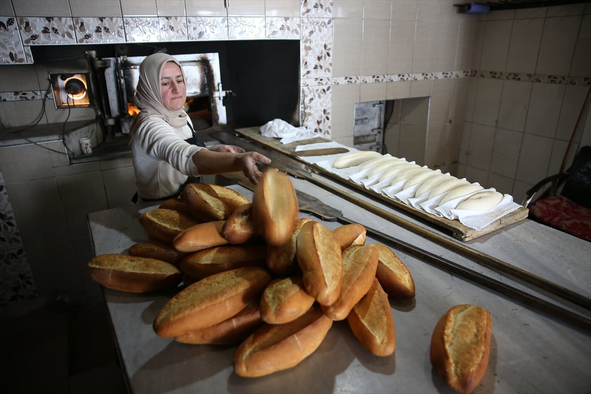 Ordu'nun Kabadüz ilçesindeki Turnalık Yaylası'nda ailesiyle yaşayan Birgül Tepe, yaylanın tek...