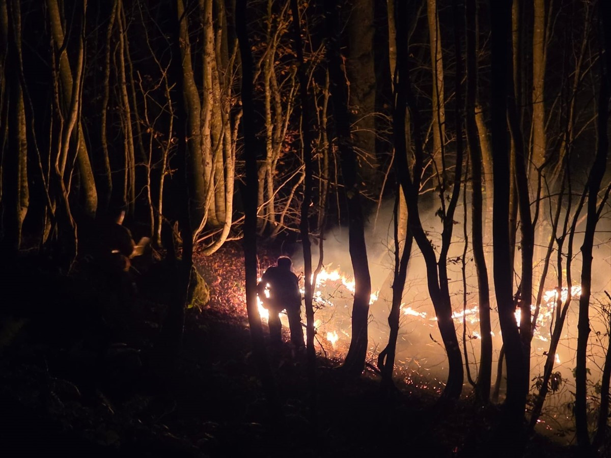 Ordu'nun Kumru ilçesinde çıkan örtü yangınına ekipler müdahale ediyor.