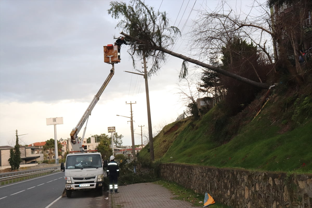 Ordu'nun Ünye ilçesinde etkili olan şiddetli rüzgardan etkilenerek devrilen ağaç, elektrik...