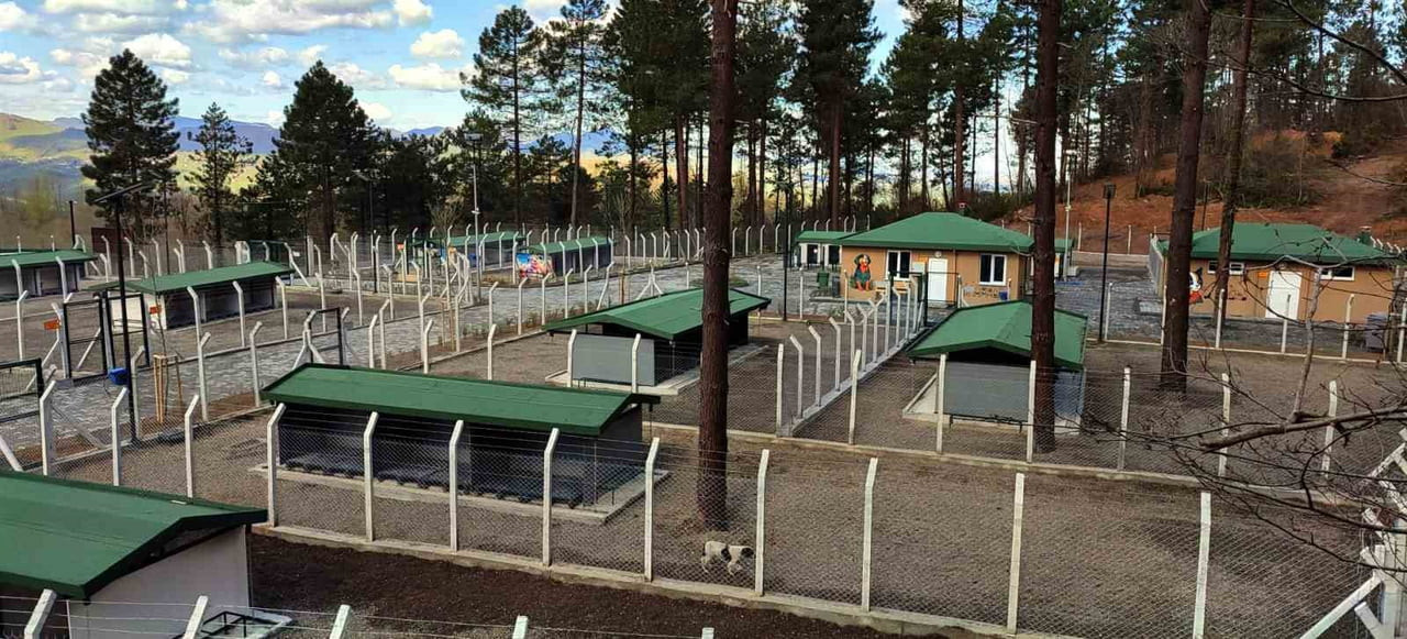 ORDU’NUN ÜNYE İLÇESİNDE SAHİPSİZ SOKAK HAYVANLARI İÇİN YAPIMI SÜRDÜRÜLEN BARINAK, REHABİLİTASYON...