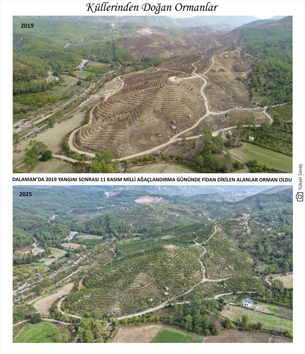 Orman Genel Müdürü Bekir Karacabey, Muğla'nın Dalaman ilçesinde 10 Temmuz 2019'da başlayıp Fethiye...