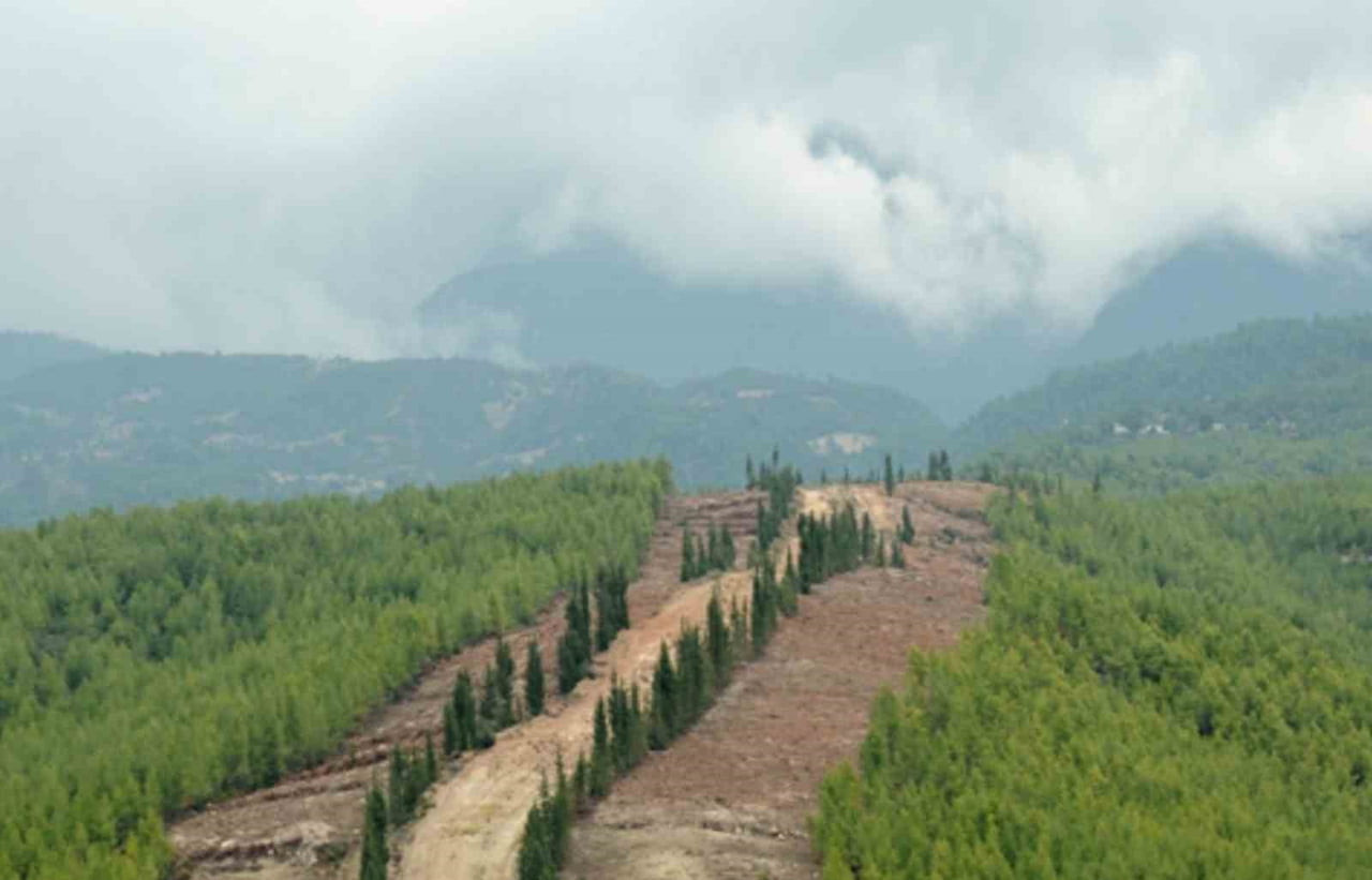 ORMAN YANGINLARINA KARŞI DAHA DİRENÇLİ BİR YAPI OLUŞTURMAK AMACIYLA BAŞLATILAN ÇALIŞMALAR...