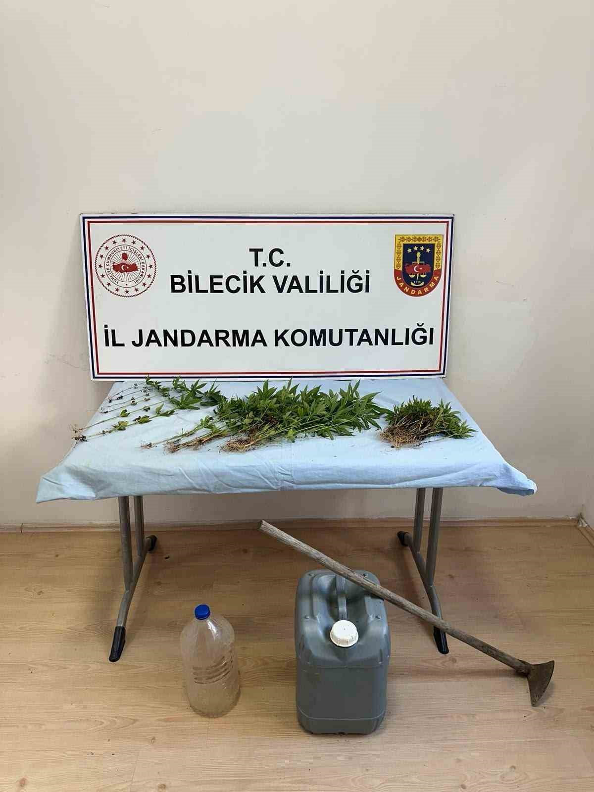 ORMANLIK ARAZİDE KENEVİR EKİMİ YAPAN ŞAHIS EKTİKLERİ SULARKEN YAKALANDI