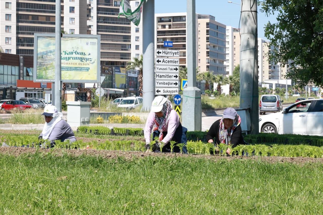 OSMANGAZİ BELEDİYESİ, İLÇE GENELİNDE SÜRDÜRDÜĞÜ PEYZAJ VE ÇEVRE DÜZENLEME ÇALIŞMALARIYLA KENTİ...