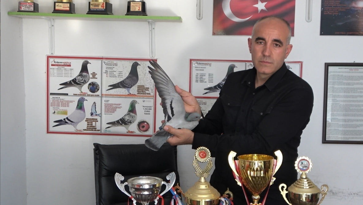 OSMANİYE AMANOS POSTA GÜVERCİNİ SEVENLER DERNEĞİ BAŞKANI YUNUS AKDAĞ, ELİMDEKİ GÜVERCİN, KARS...
