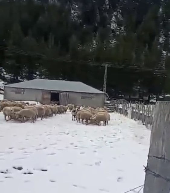 OSMANİYE KADİRLİ KAR