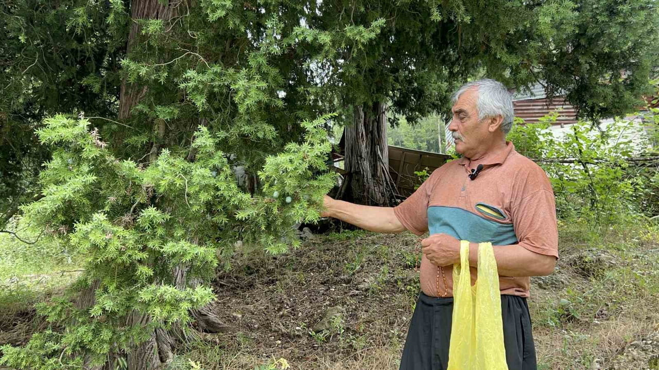 OSMANİYE'DE HALİL SERÇE, YAKLAŞIK 25 YILDIR DOĞADAN TOPLADIĞI ANDIZ KOZALAKLARININ...