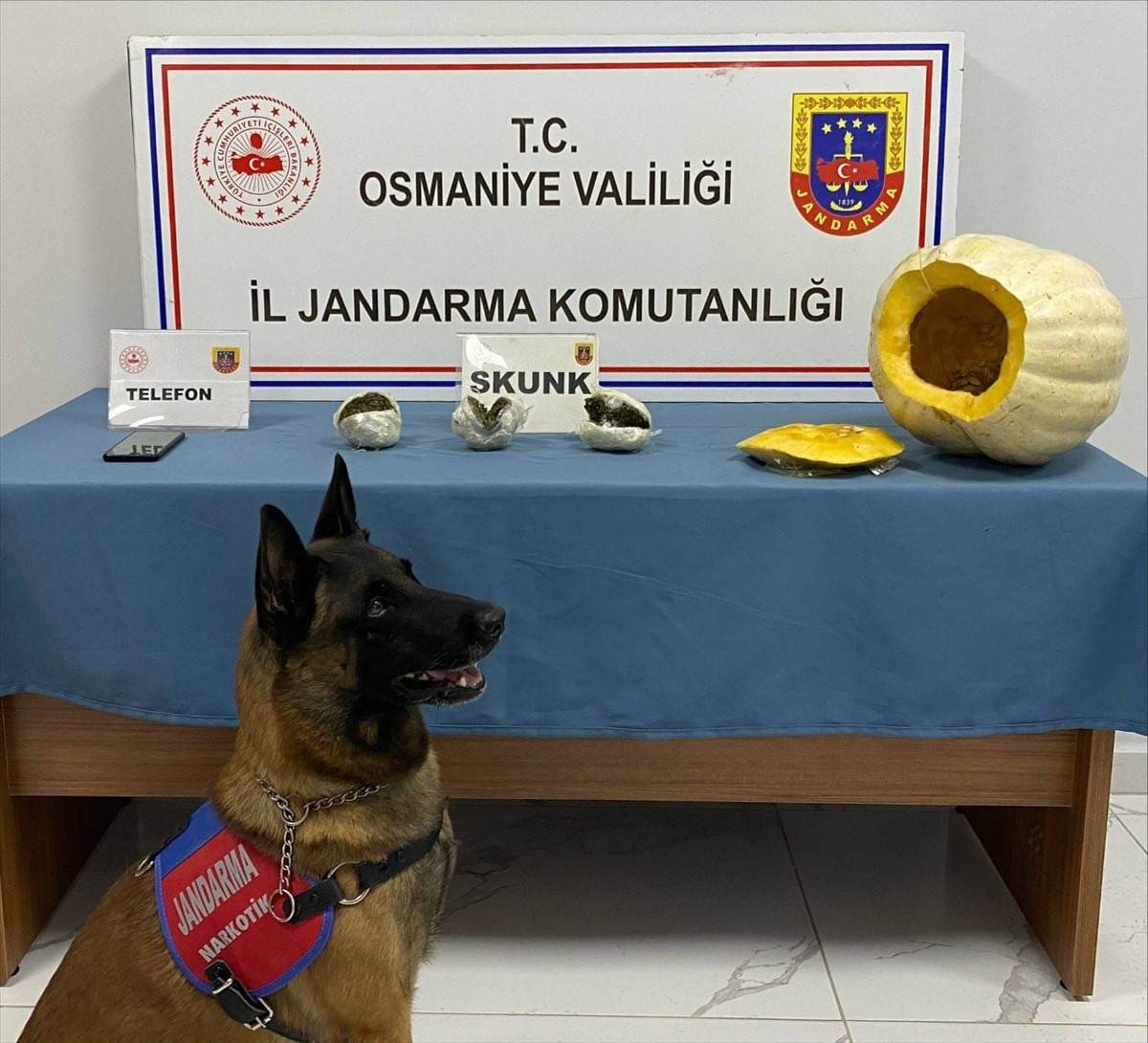 Osmaniye'de yolcu otobüsünün bagajındaki bal kabağının içinde 706 gram uyuşturucu ele geçirildi, 1...