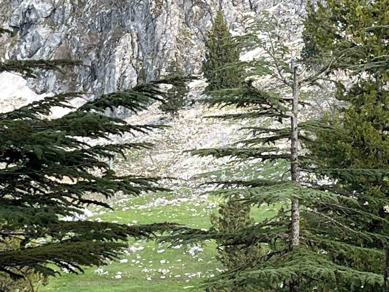 OSMANİYE’DE KAYALIKLARDAN DÜŞEN ADAM HAYATINI KAYBETTİ