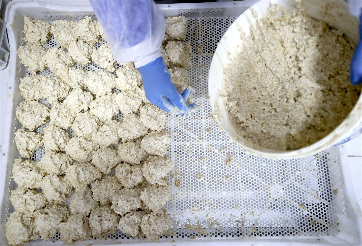 Osmanlı Dönemi'nde yoğurt, buğday, maya ve tuzdan yapılan "sıkma" tarhananın üretimini 3 kuşaktır...