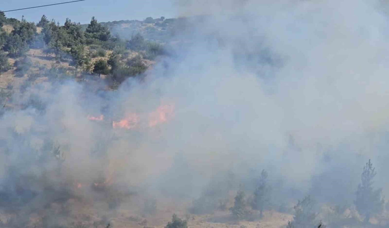 OTLUK VE KORULUK ALANDA YANGIN