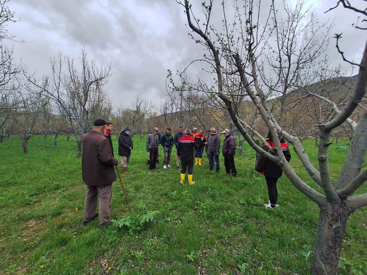 OTLUKBELİ’NDE ÜRETİCİLERE MEYVE AĞAÇLARINDA BUDAMA EĞİTİMİ