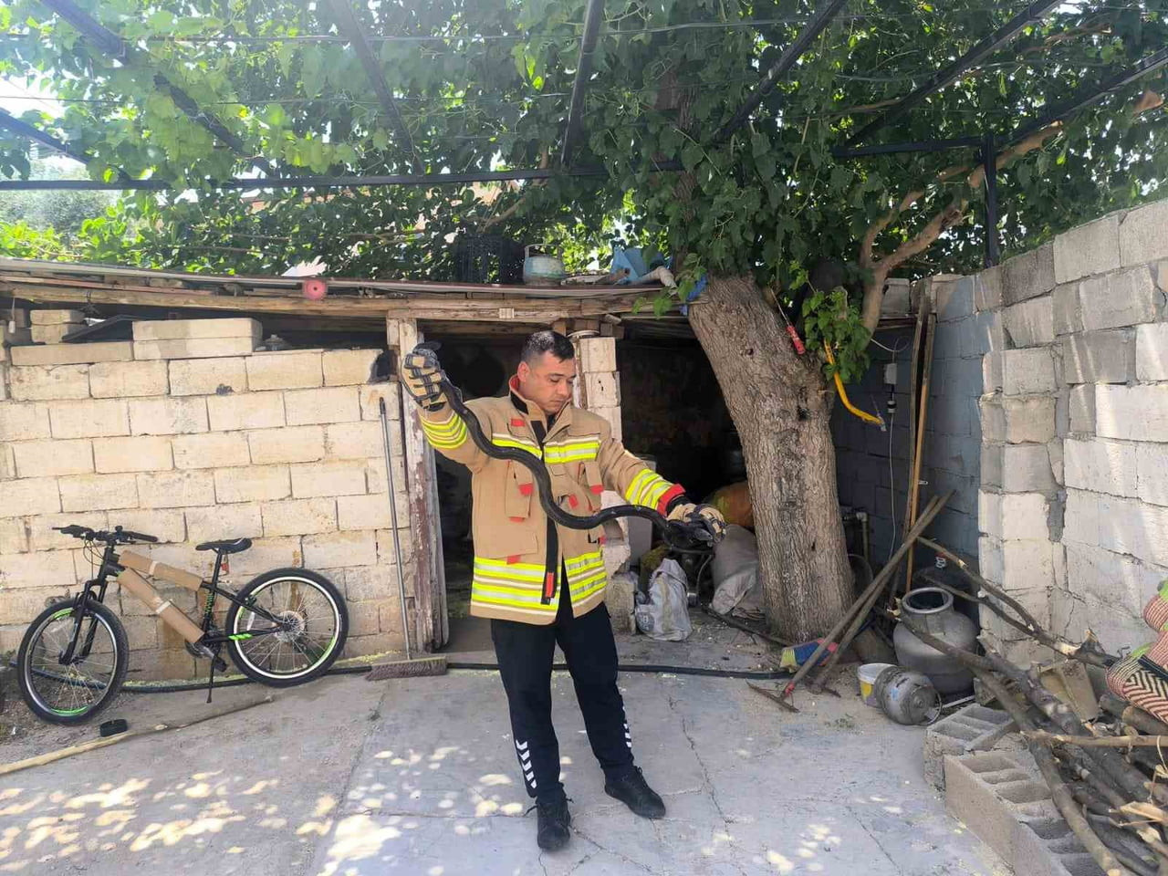 PANİĞE NEDEN OLAN YILANLAR, İTFAİYE TARAFINDAN APARAT YARDIMIYLA YAKALANDI.