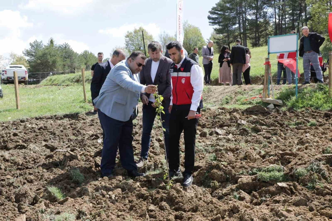 PAZARLAR’DA ATIL DURUMDAKİ HAZİNE ARAZİSİ TARIMA KAZANDIRILDI