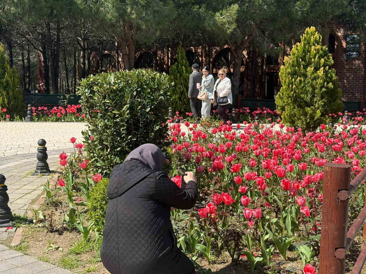 PENDİK KORUSU BİNLERCE LALE, NERGİS VE SÜMBÜLLE BİRLİKTE ZİYARETÇİLERİNE KAPILARINI...