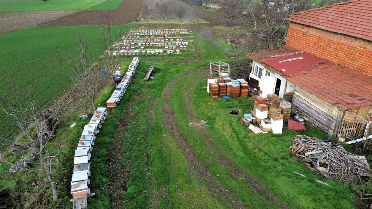 "Herkesin bizim köyde bir kovanı olsun" projesiyle Bilecik'in Gölpazarı ilçesine bağlı Kurşunlu...