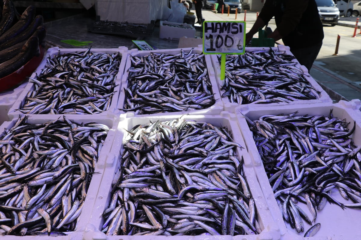 Rize'de balıkçı tezgahlarında en çok hamsi tercih edildi. Kent merkezindeki tezgahlarda hamsi 100...